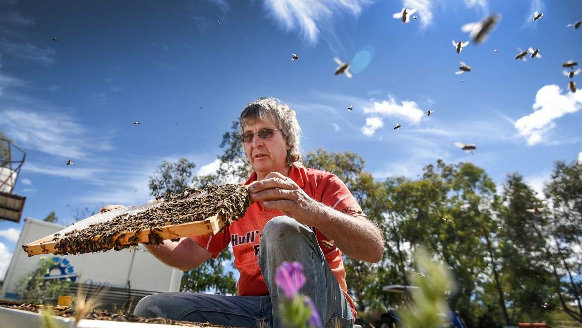 PASSION: Ray Hull has looked after bees all his life. Photo: Gareth Gardner 151116GGA03