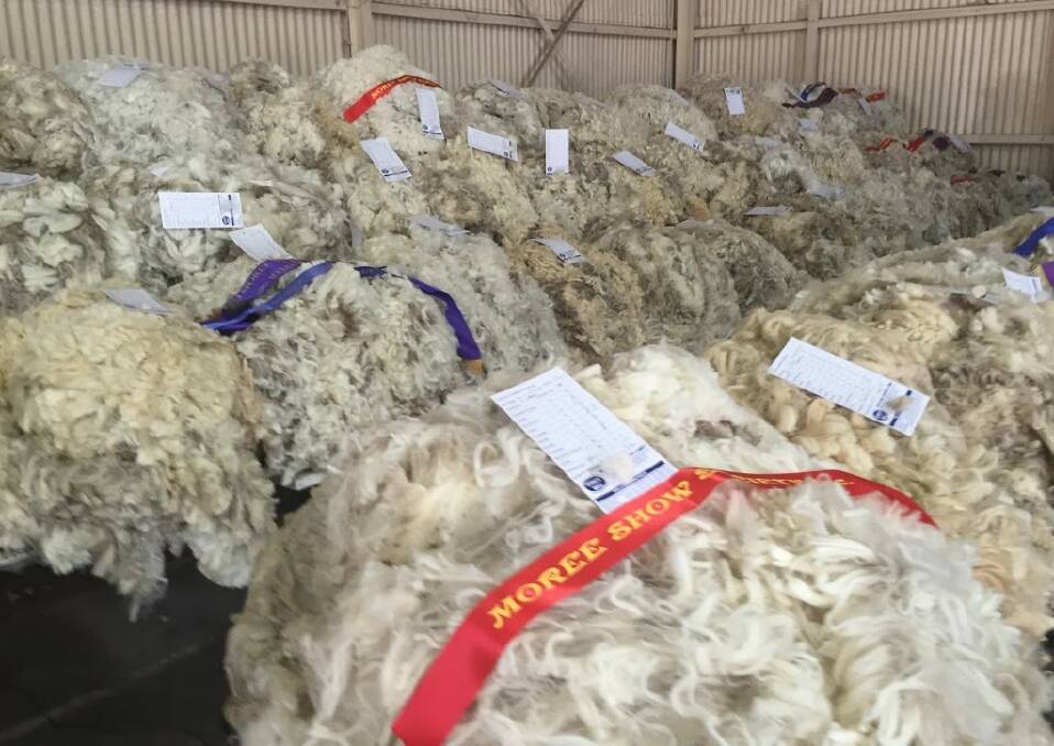 Natural fibre: The show usually attracts great support in the wool competition, with plenty of fleeces on display.
