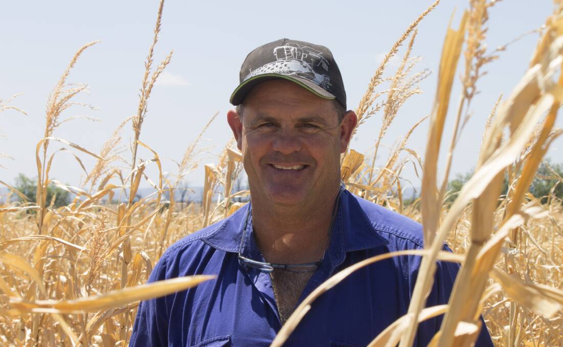 FARMING IN THE BLOOD: Third generation broadacre farmer Paul Slack produces wheat, chickpeas and dryland cotton and corn between his two properties in Gurley and Pallamallawa. Photo: WeedSmart