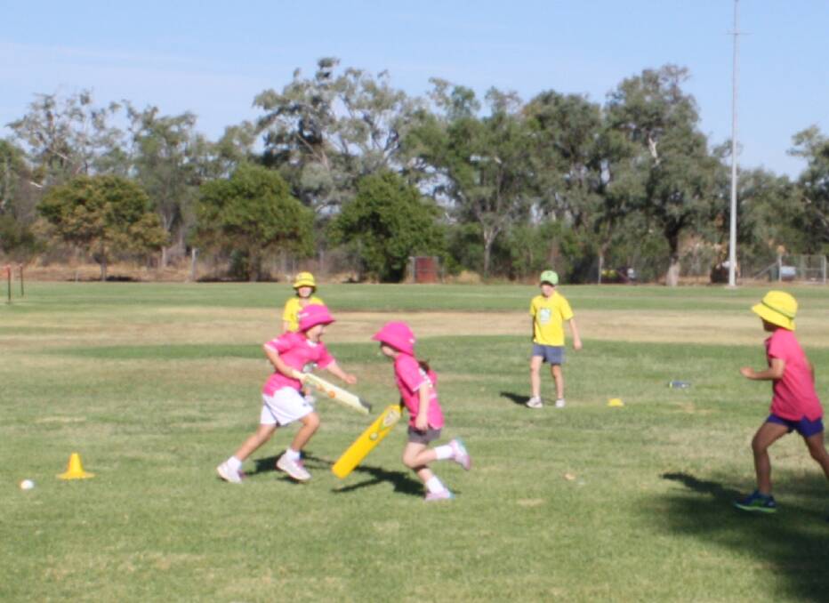 Cricketers play in pink.