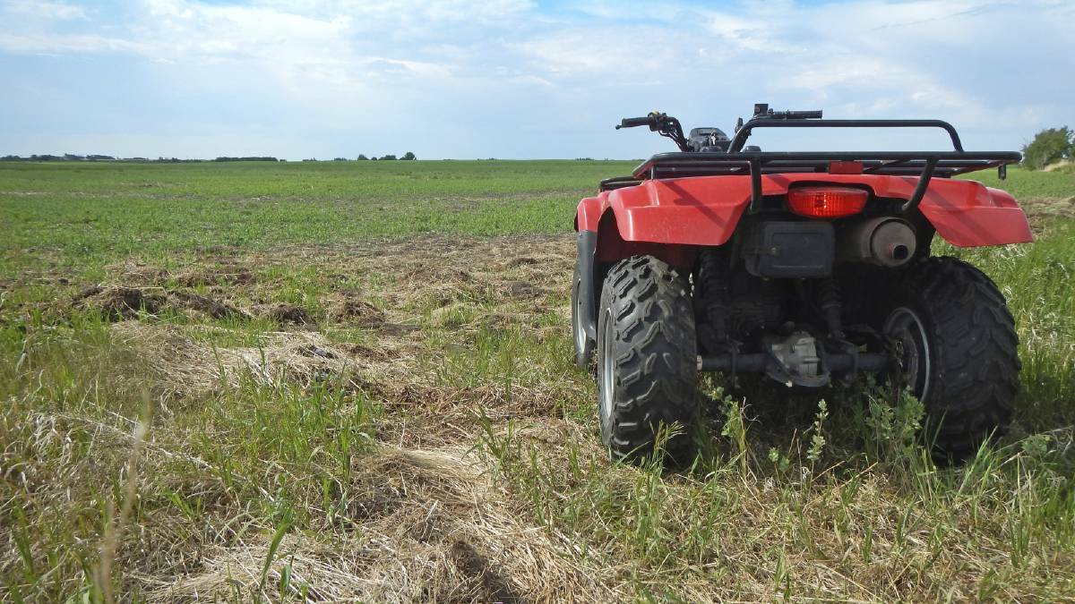 Have your say on quad bike safety