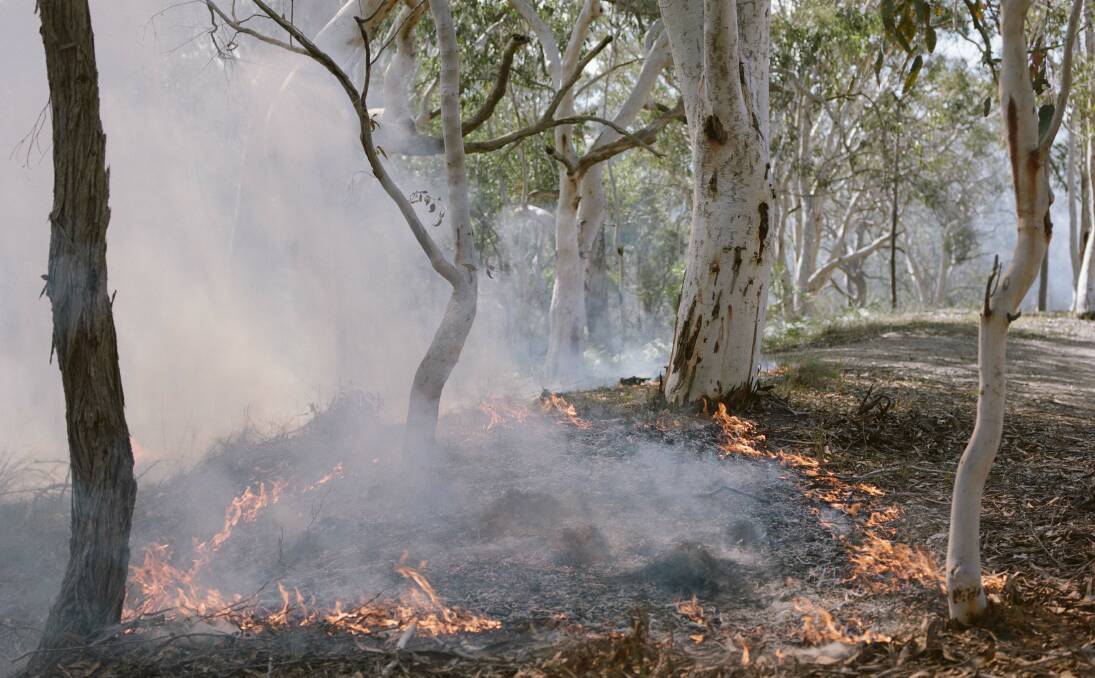 A low intensity cultural burn on Awabakal Country led by Firesticks. Firesticks will be leading burns in Moree and surrounds Tuesday and Wednesday. Picture by Saskia Wilson.