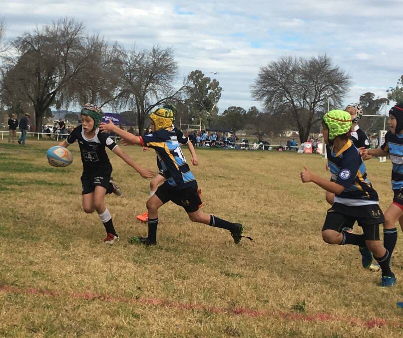 In sight: Hugh Reardon heads towards the try line against Scone in an U10s game.
