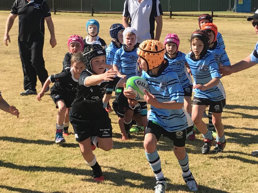 Hit up: With the support of his team Moree's George Diprose tackles a Narrabri opponent in the U8s on Sunday. Photo: Supplied.