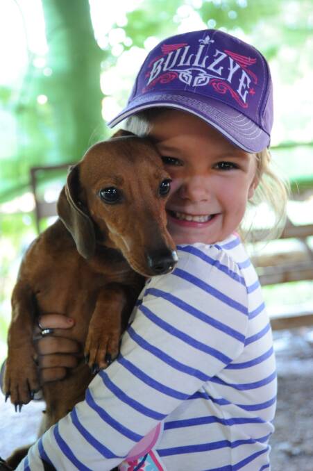 Pat a pet: Daisy Bartlett found a beautiful little sausage dog to cuddle at the show.