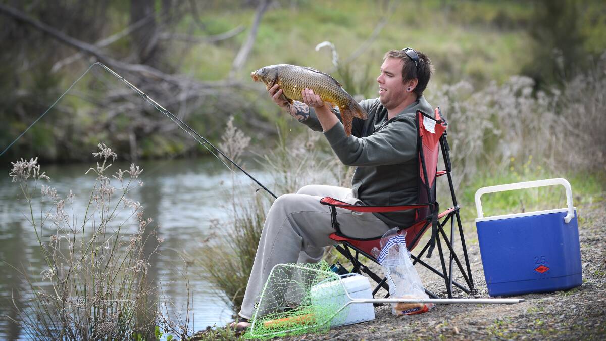 GOOD CATCH: Uralla fisherman Callan McGuiness with a carp he caught during the inaugural Nundle to Chaffey Dam carp muster at the weekend. Photo: Barry Smith 210914BSB04