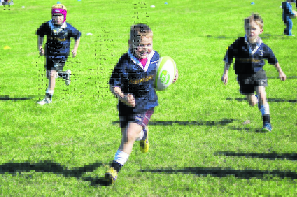 Moree's carnival of junior rugby 