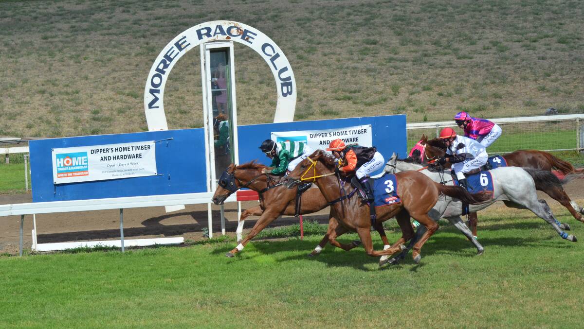 Counterspy, trained by Campbell Roberts wins race three at last November's TAB meeting in Moree.