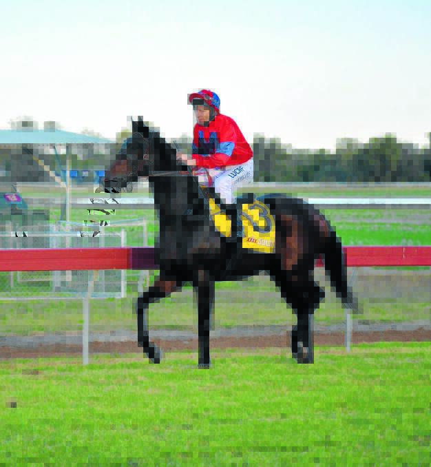 Three course picnic for Sinclair at Moree races