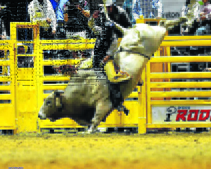 Troy Wilkinson aims to win his second consecutive bull riding victory at the famous Warwick Rodeo. Photo: www.dephotos.com.au