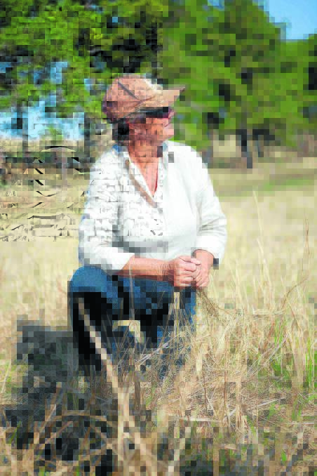 Dr Judi Earl put her skills of rejuvenating land into practice after purchasing Glen Orton in 2011. 