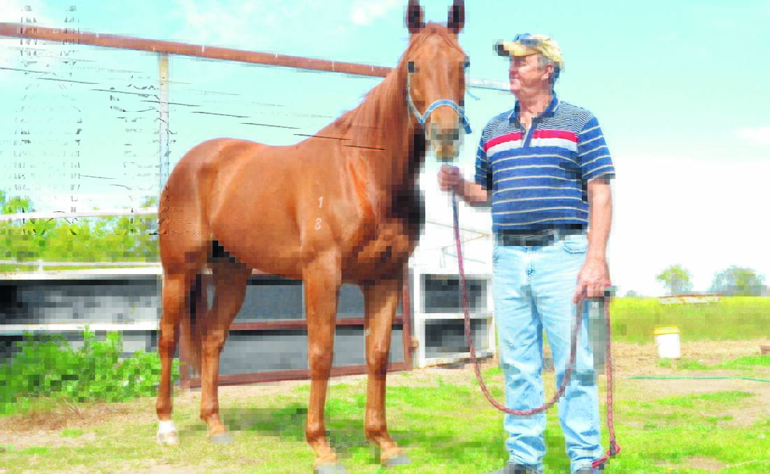 OFF AND RACING: Peter Blanch will race Kyogle Town in the Benchmark 60 (1200 metres) at the Moree Father’s Day races on Sunday.