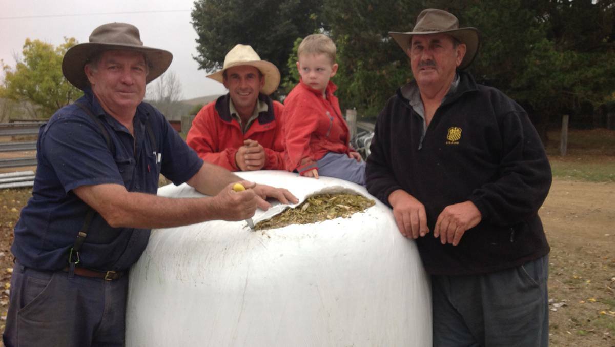 Sam and Warren Grills take delivery of silage from Ray Hayes. Pic: GUYRA ARGUS