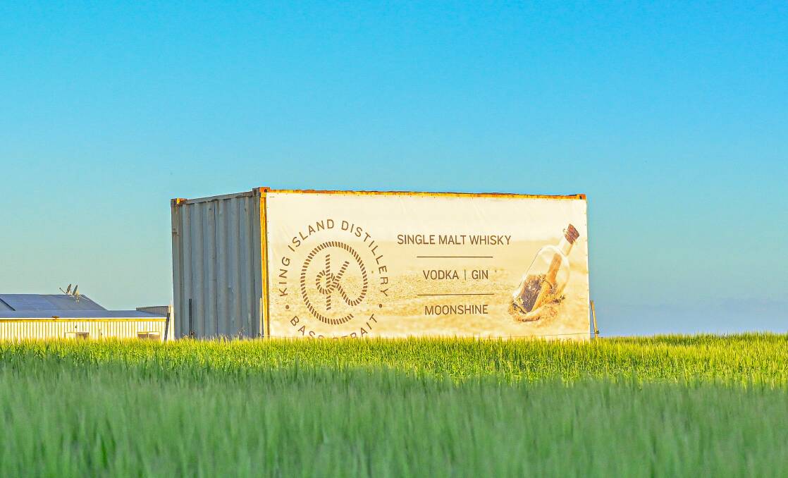 A container sits among the barley, which will be made into a premium whisky at a new distillery being set up on King Island. Photo: Supplied