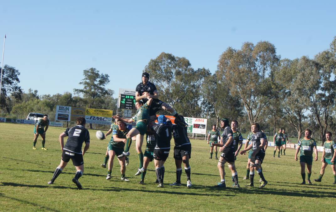 Moree's Byron Birch comes down hard on the Inverell Highlanders on field. 