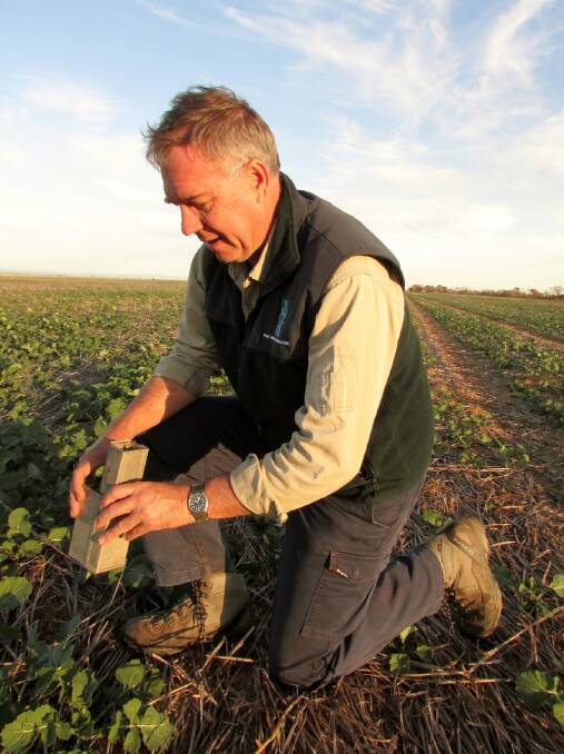 Have a good look: CSIRO researcher Steve Henry has urged growers to monitor and manage mice numbers ahead of winter crop planting and to continue to report and map mouse activity at www.mousealert.org.au.
