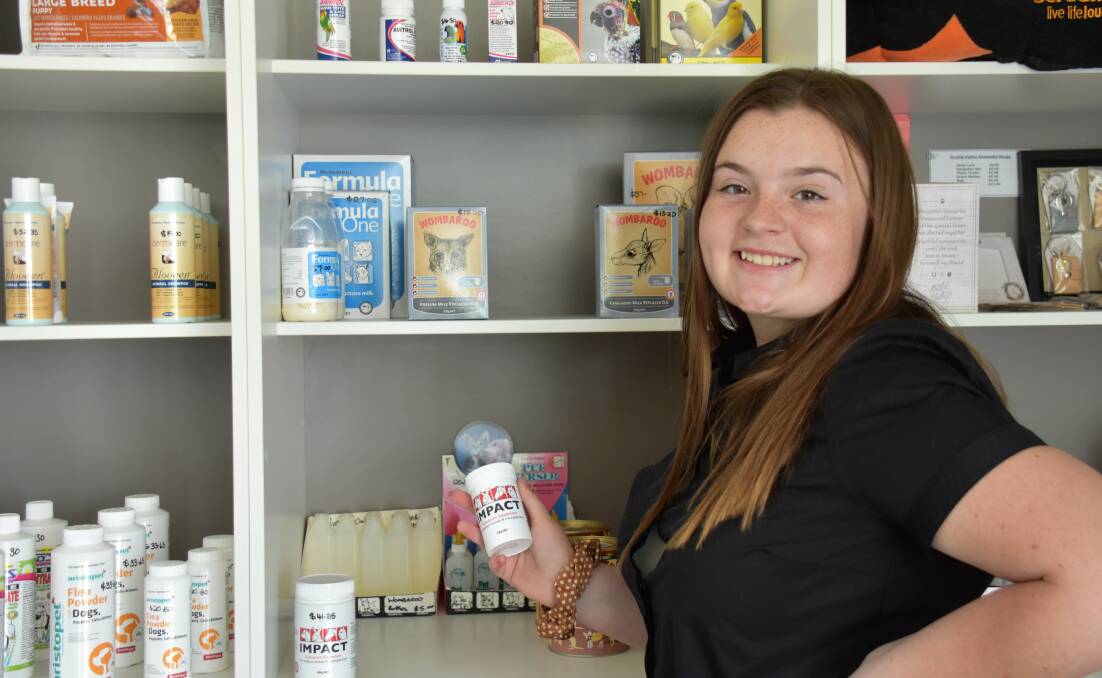 MSC student Bella McGowen has enjoyed her work experience at Moree Veterinary Clinic. Photo: Tayla Simpson