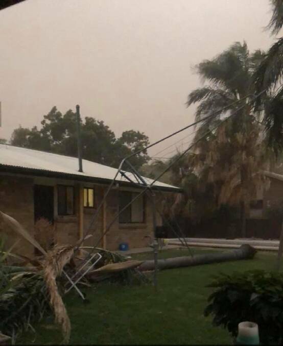 The wind blew down a palm tree, crushing a clothes line and just missed this family's car. Photo: Janine Sweeney