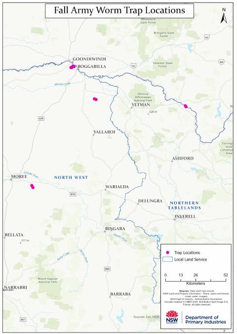 Fall Armyworm trap locations in North West NSW. Photo: DPI
