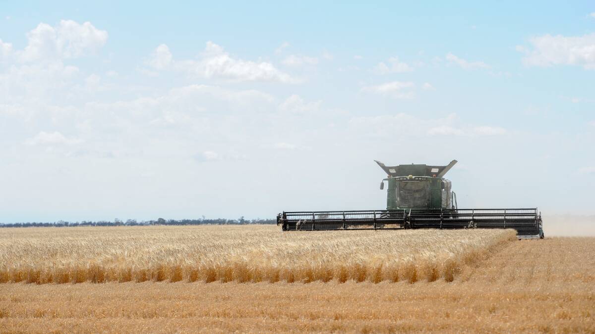 The district managed to finish harvesting without rain interrupting during November. 