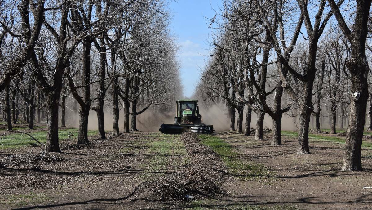 A harvester collects pecans off the ground at Trawalla pecan farm, one of the tourist attractions featured in the Love NSW Local Stories campaign.