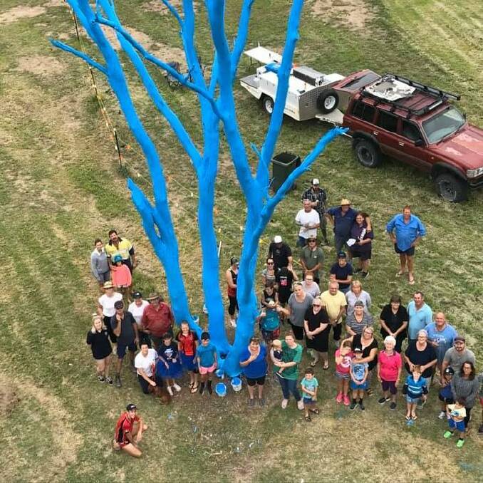 Warialda's blue tree was painted earlier this year.