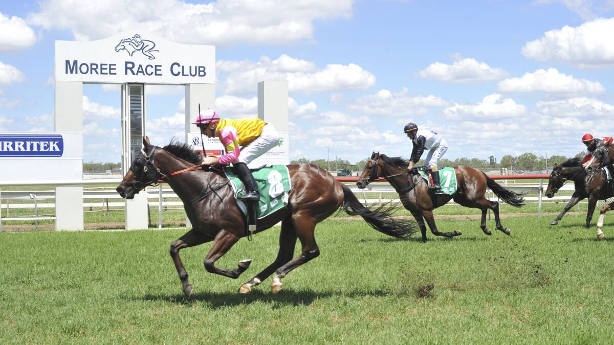 Suvero, ridden by Ben Looker, finished two lengths ahead Walbundrie, in the first race at Moree on Saturday. Photo: Bradley Photos