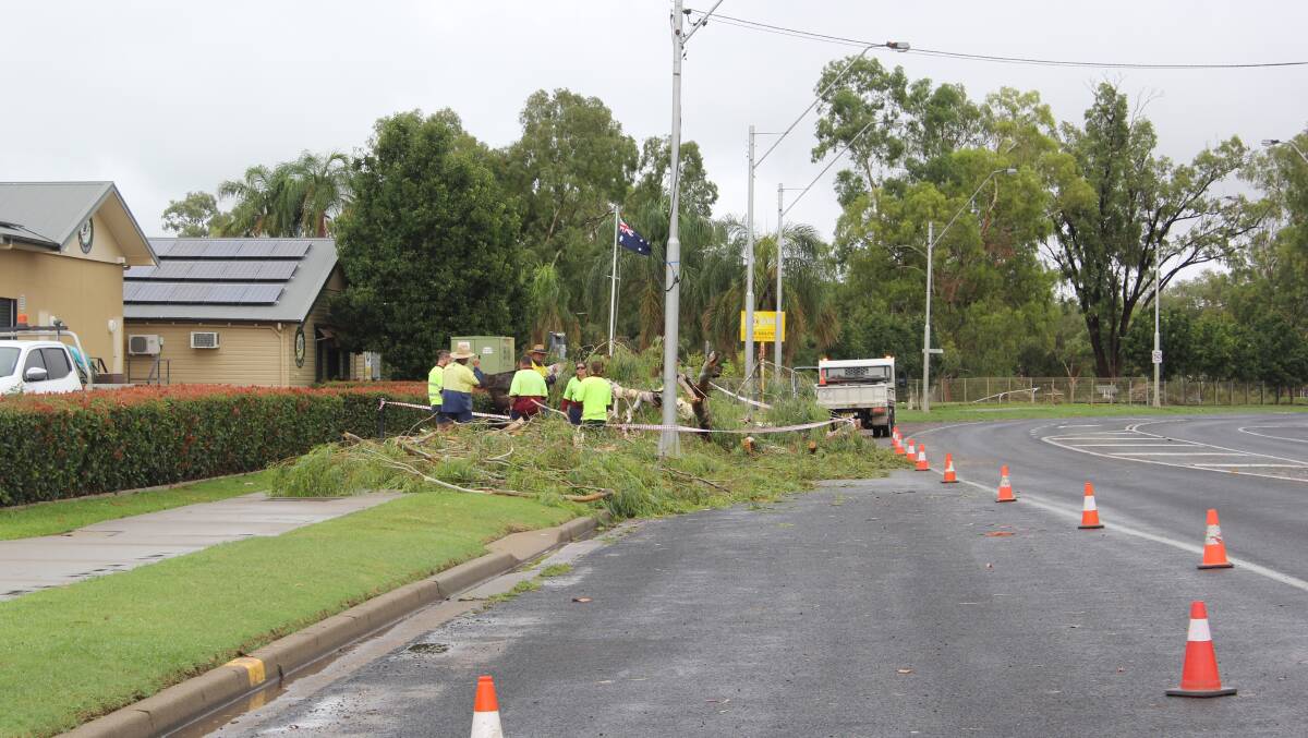 Council workers clear a tree which had fallen down out the front of Moree Golf Club during the storm on Monday night.