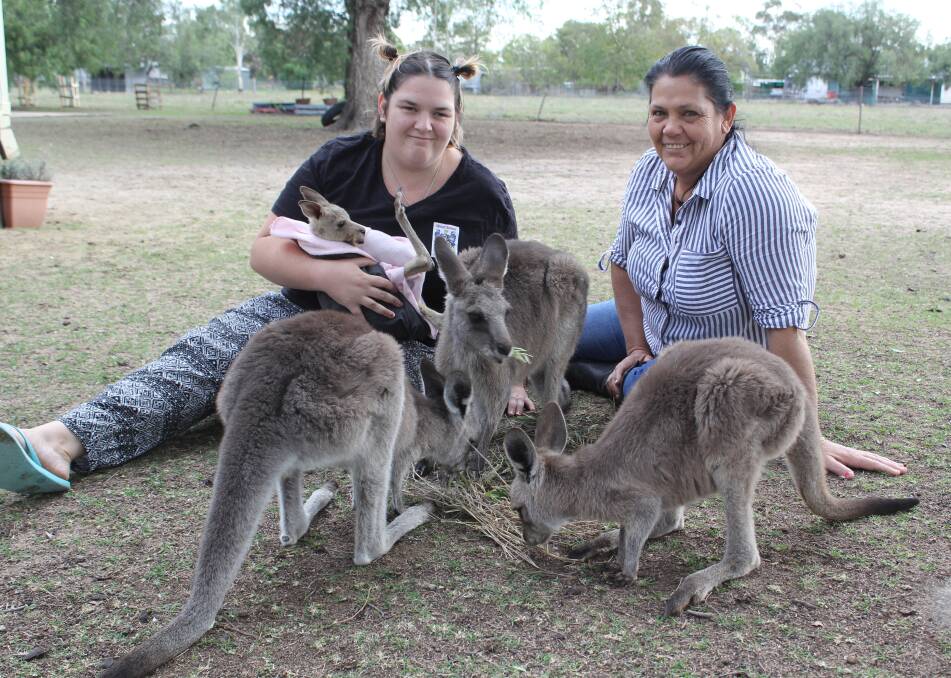 RESCUERS: Shay and Tracey Bartram with the four orphaned joeys currently in their care - Muriel (in Shay's arms), Millie, Stinky and Axle.