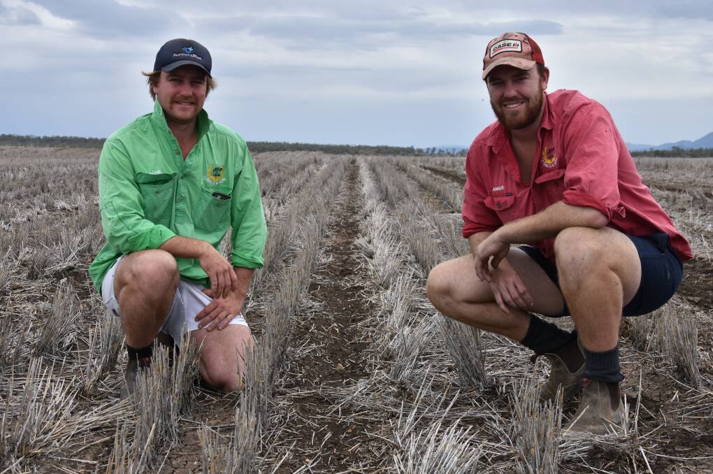 Fourth generation farmers Lachie and Angus Smith planted dryland cotton on their property 'Coffin Hill', east of Gurley, for the first time this season. Photo: Sophie Harris
