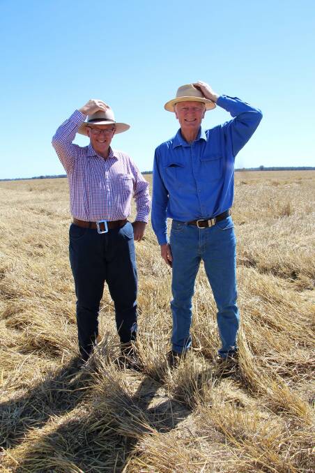 Federal Member for Parkes Mark Coulton and former Australian Test cricketer and now Gurley farmer Peter Taylor remind farmers to get their skin checked. Photo: supplied