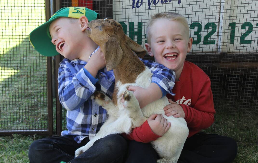 Daniel and Aaron Moore had a great time playing with the animals in the petting zoo at last year's event.