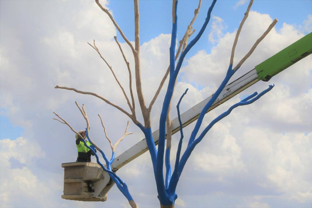 Painting has begun on Moree's blue tree. Photo: MPSC