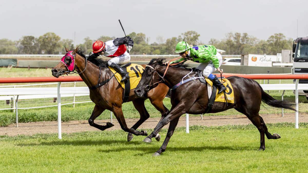 VICTORY: Moree trainer Peter Sinclair's Master Cramsie beat Pleasure Bomb by a short head during race four in Moree on Saturday. Photo: Melissa Carrigan