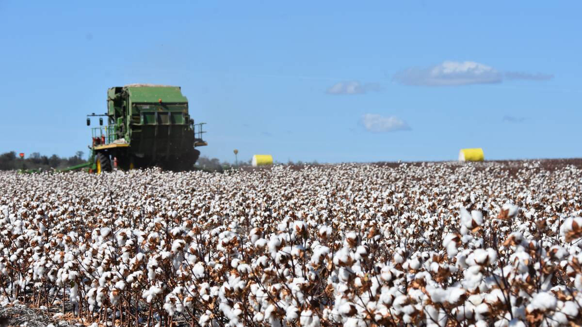 Grains and cotton industry go-getters invited to thrive