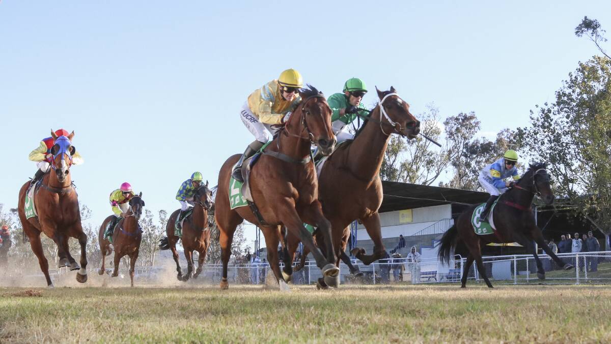 Upstart comes home just ahead of Ayham and a length and a quarter in front of stablemate Track Flash at Gunnedah on Monday. Photo: Bradleyphotos.com.au