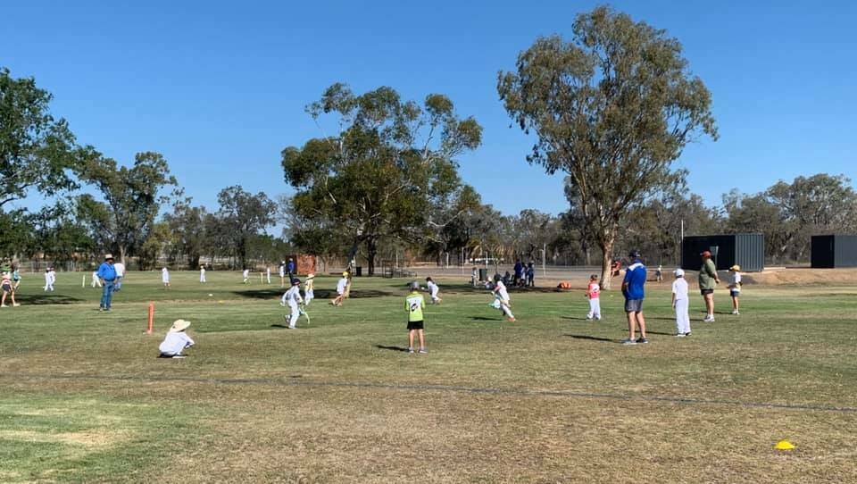 Moree Junior Cricket Club is currently calling for registrations. Photo: supplied