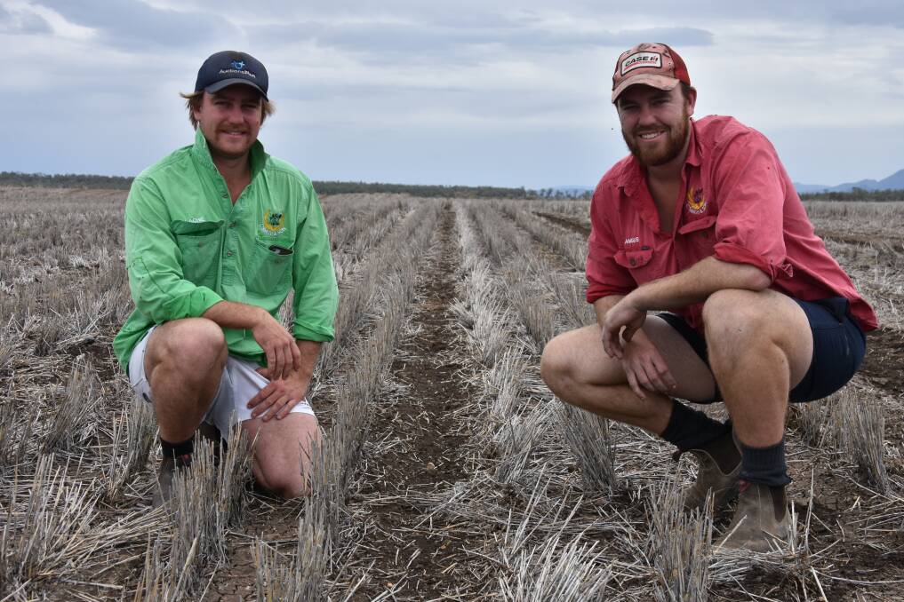 Lachie and Angus Smith, Coffin Hill, Gurley, planted a dryland cotton crop on the back of 30mm of rain. Their Norseman planter that did the job. Photo - Sophie Harris, Moree Champion.