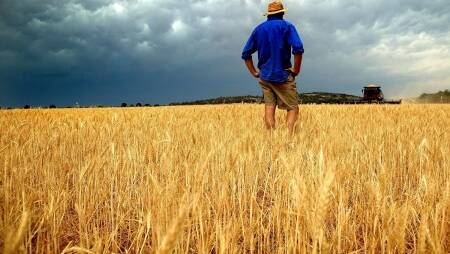 Westpac commits $100m to support farmers