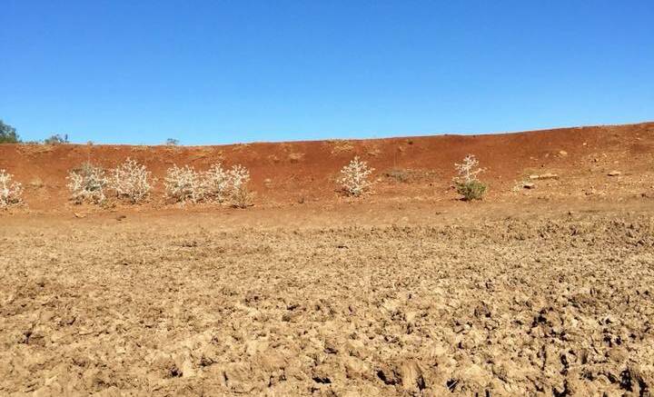 Forum to help locals take on the drought