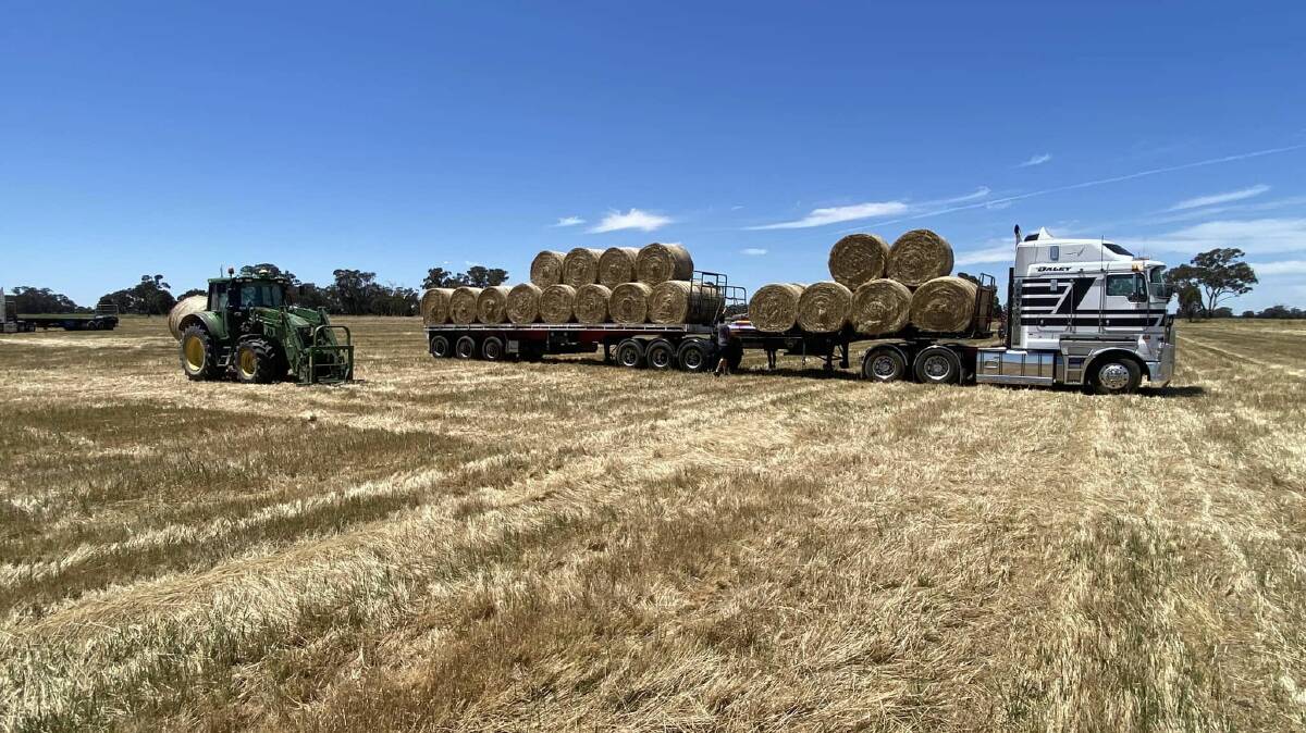 The Aussie Hay Runners will bring 75 truck loads of hay to Moree. 
