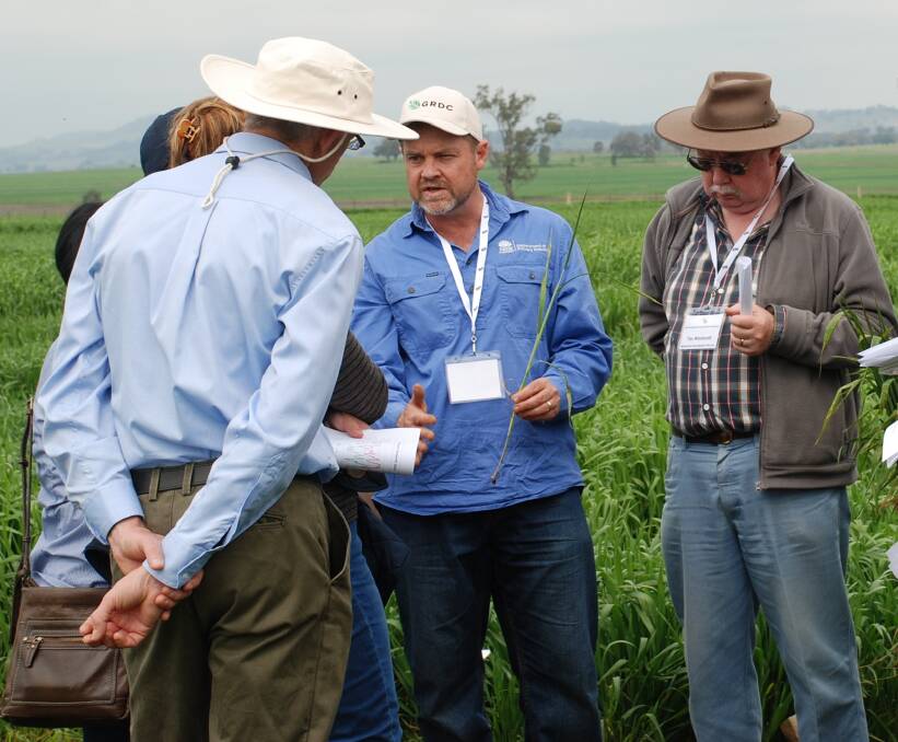 NSW Department of Primary Industries senior research scientist, Dr Steven Simpfendorfer discusses crown rot with producers back in the ever-green days of 2016.
