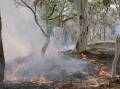 A low intensity cultural burn on Awabakal Country led by Firesticks. Firesticks will be leading burns in Moree and surrounds Tuesday and Wednesday. Picture by Saskia Wilson.