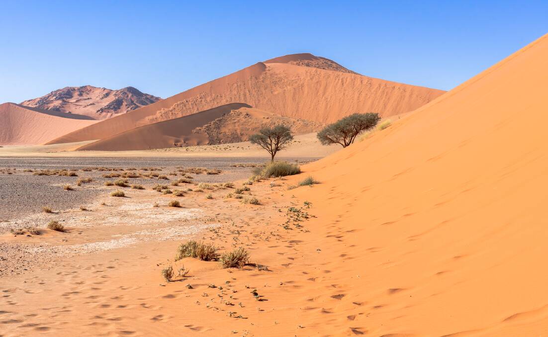 The rolling red dunes of the Namib Sand Sea stretch for about 400 kilometres.
