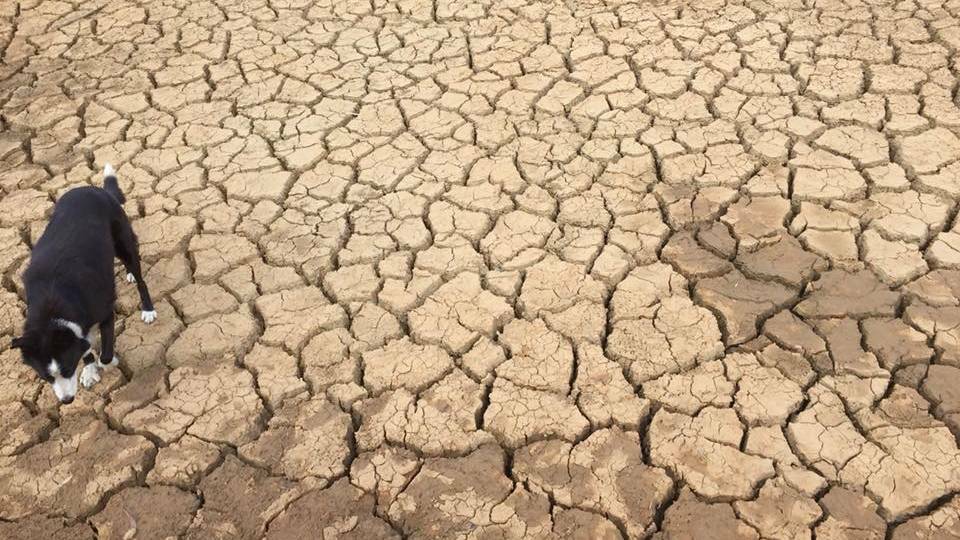Drawing the link between drought and mental health issues