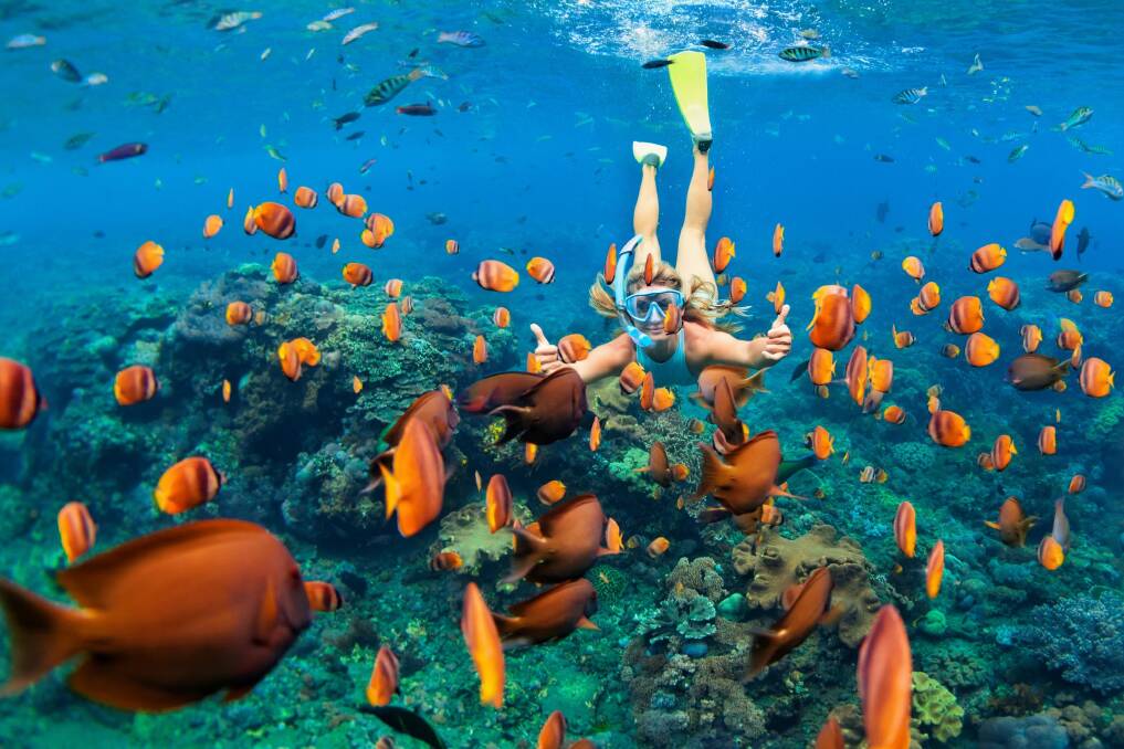 Colourful fun aplenty ... snorkelling in the Caribbean