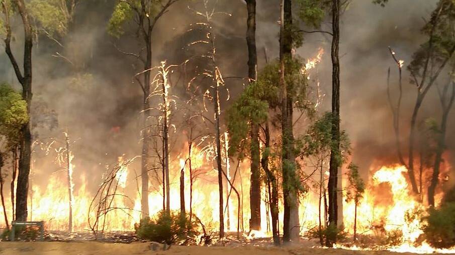 Pilliga forest fire update: Newell Highway closed in both directions