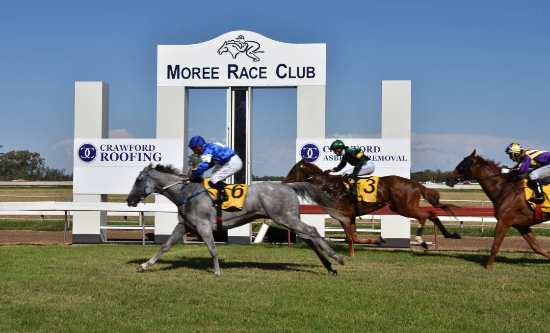 Double delight: Moree trainer Nathan Sinclair's Going Grey placed first, while Cool Stinger took a close second in race five on Saturday. Photo: Sophie Harris.
