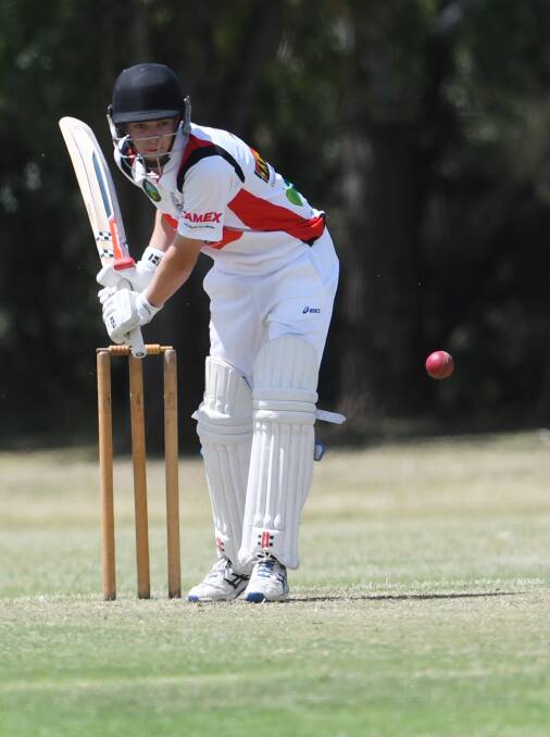 Luke Constable was the only batsmen to really put a price on his wicket. Photo: Gareth Gardner
