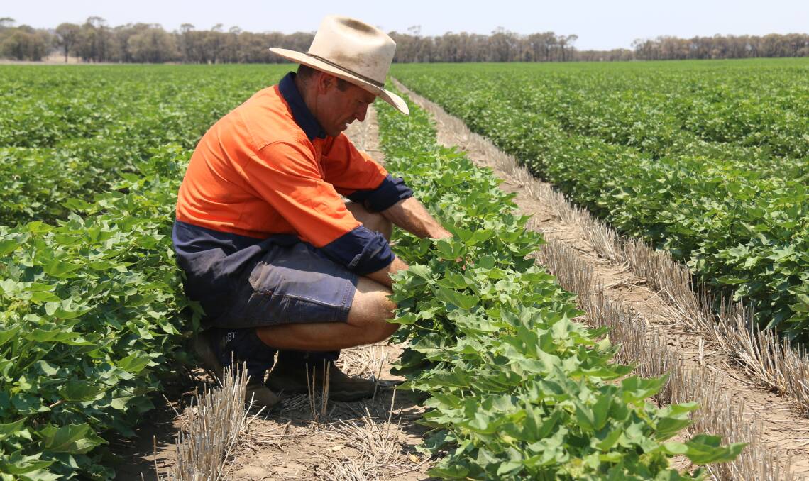 Angus Doolin has won the irrigated cotton category at the FastStart Cotton Establishment Awards for the 2019-20 season. Photo: supplied.